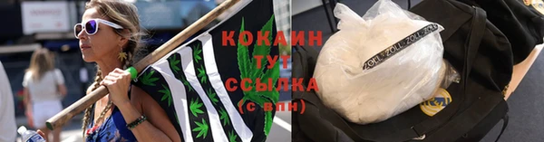 a pvp Няндома