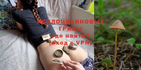 Альфа ПВП Алзамай