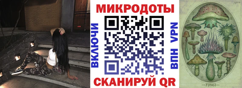 Псилоцибиновые грибы Cubensis  сколько стоит  Новоульяновск 